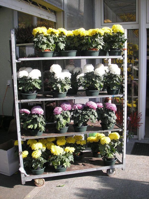 Allerheiligengestecke – Beispiel 3, Lentia Marmor