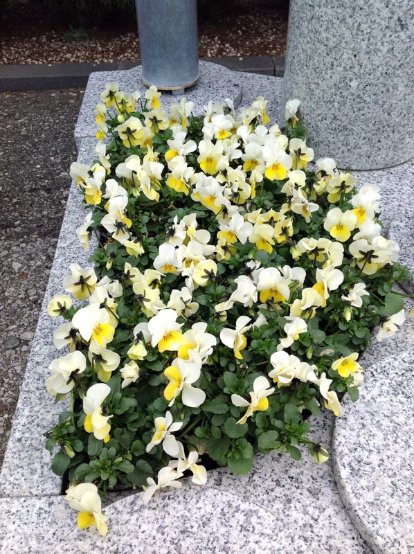 Frühling – Beispiel 3, Lentia Marmor